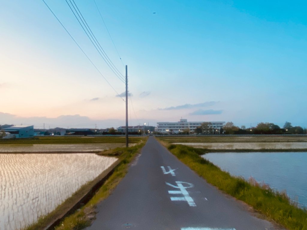 千葉県茂原市の早野中学校の前の田んぼ道
